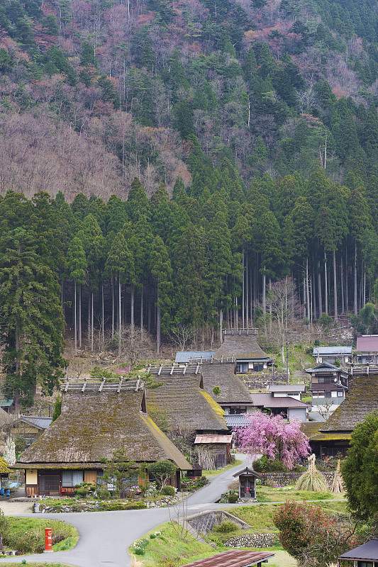 日本京都的历史村庄Miyama