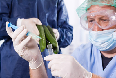 植物实验室