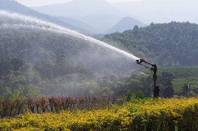橙色田地的洒水器