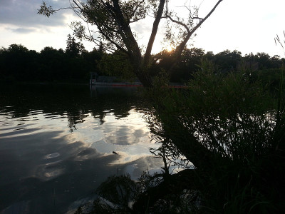 Concrete Structure Pond