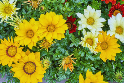 花