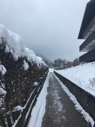 漫步在上巴伐利亚白雪覆盖的小路上。