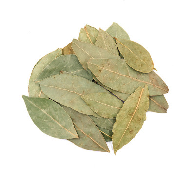 Bay leave孤立在白色的背景上。