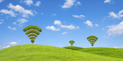 树wifi符号，由灌木形状制成。