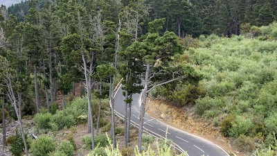 Tenerife岛