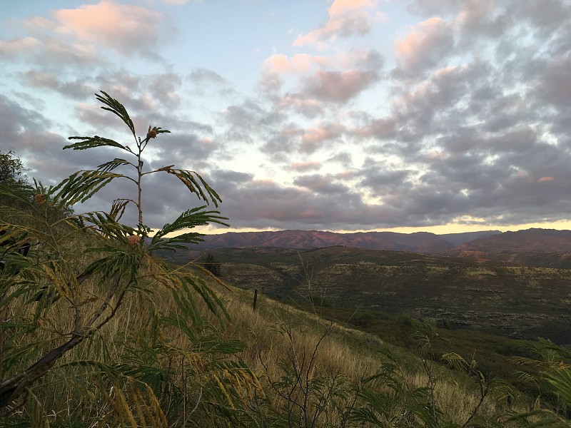 夏威夷考艾岛上凯卡哈附近的威美亚峡谷。