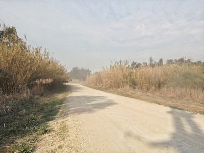 恩特雷里奥斯的风景和乡村道路
