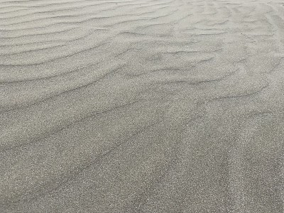 自然沙质格局