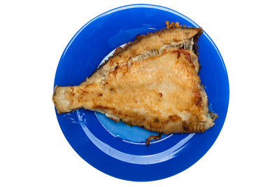 鱼的食物