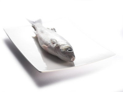 生brancin鱼