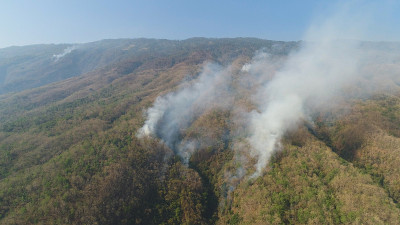 山林火灾