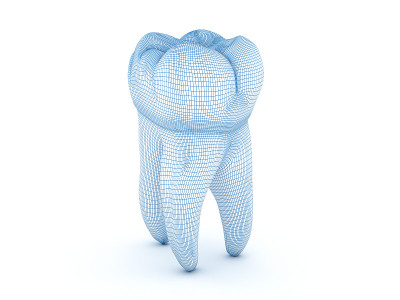 上颌第一磨牙的形态。连接3 d演示