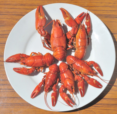 小龙虾煮熟