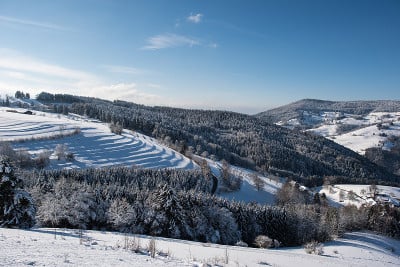 黑森林德国美丽的雪景