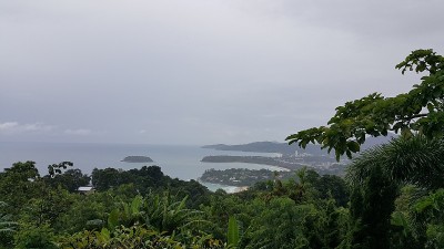 卡隆观点