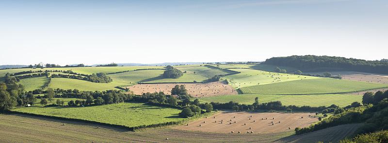 法国北部cap and marais d'opale区域公园的玉米地和草地景观