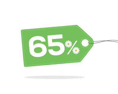 绿色价格标签65%设计与花卉图标。