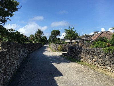 竹美岛美丽的乡村公路