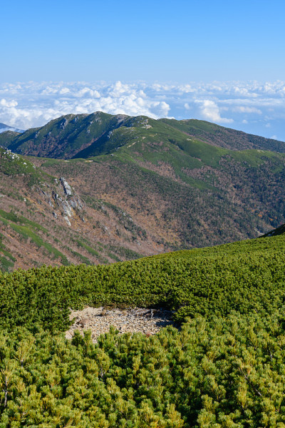 秋末的shogigashira山