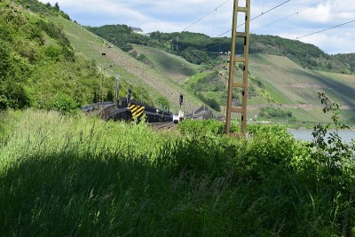莱茵河谷railsroad