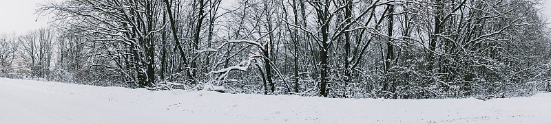 在冰雪覆盖的森林里的一条路