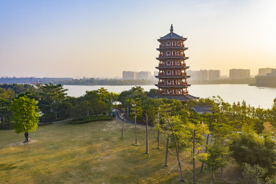 中国广东省东莞市华阳湖湿地公园风光