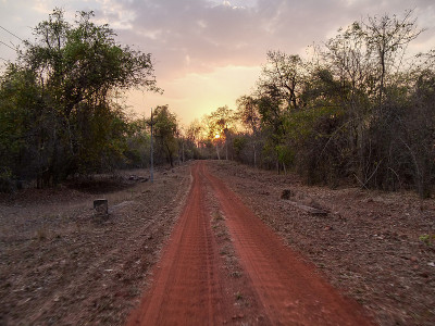 tadoba andhari老虎保护区的道路后的夕阳