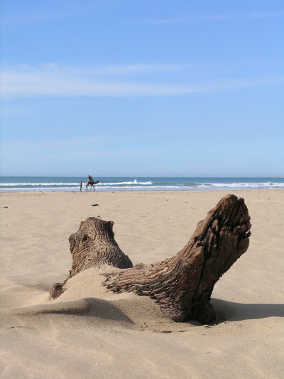漂流