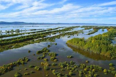 阿穆尔河发生特大洪水。鸟瞰图。