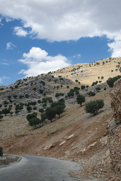 卡塔(Kahta)，土耳其:通往内姆鲁特山(Nemrut Dagi)顶峰的道路。公元前62年，安条奥