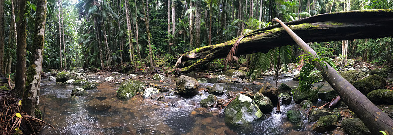 雨林溪全景