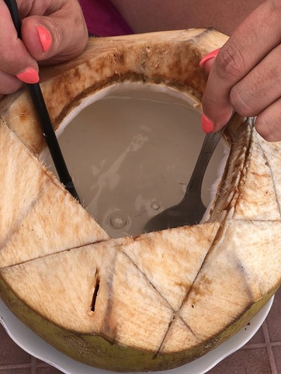 巴厘岛热带海滩上的椰子