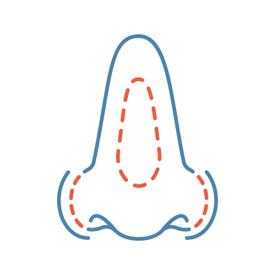 Rhinoplasty icon