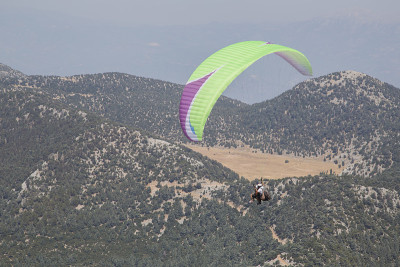 极限运动滑翔伞飞越绿山在夏季在Oludeniz