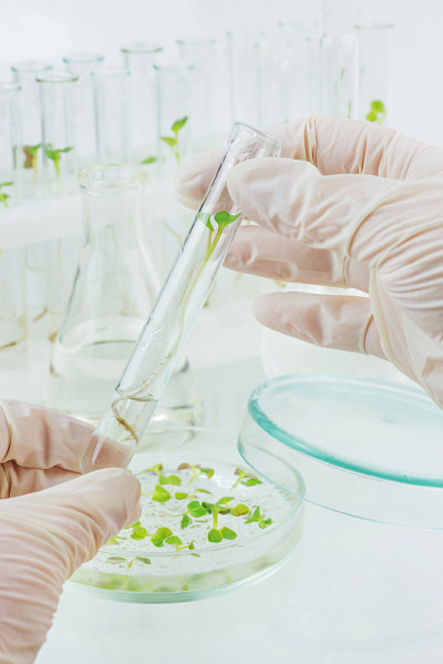 生物科学