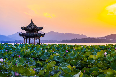 杭州西湖的自然景观和建筑景观