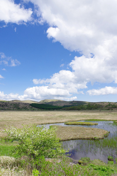 山野县