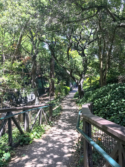 伯克利公园路