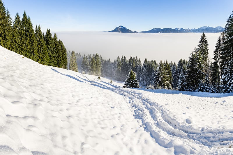 令人惊叹的冬季景色，雪山之上的倒置雾云和森林树木。从Oftersschwanger Horn到Grü