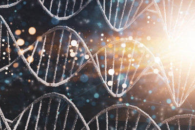 摘要:光DNA结构概念，三维渲染插图，分子螺旋螺旋，科学，医学，遗传生物技术，染色体分析，DNA染色
