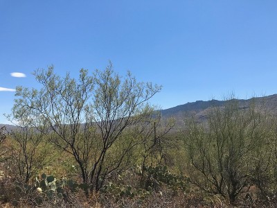 沙漠