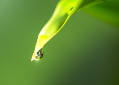 水滴