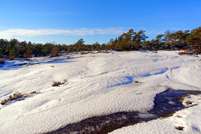 冬天的景色，雪花落在岩石上