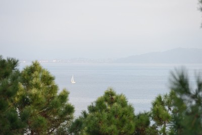 海洋海岸