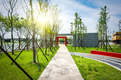 绿色城市公园