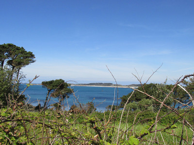 锡利岛