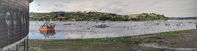 从达尔卡休的全景，Chiloé岛