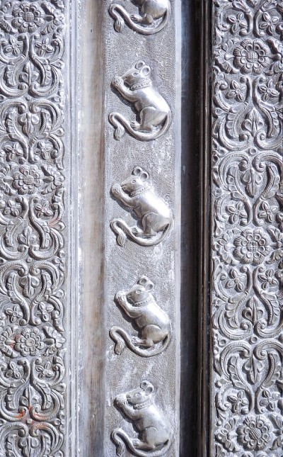 印度比卡内尔Karni Mata寺庙的圣鼠装饰