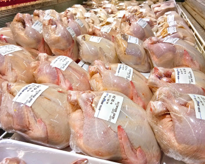 塑料包装的整只肉鸡