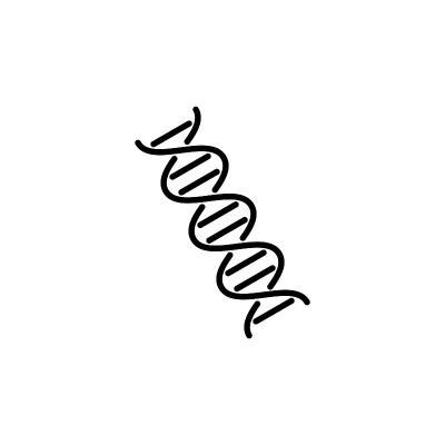 插图矢量图形的DNA图标模板